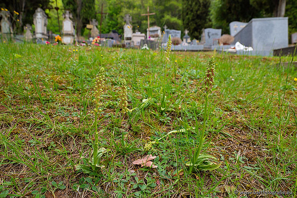 Ariège, Frankrijk, mei 2022, Bart Fotografie-037