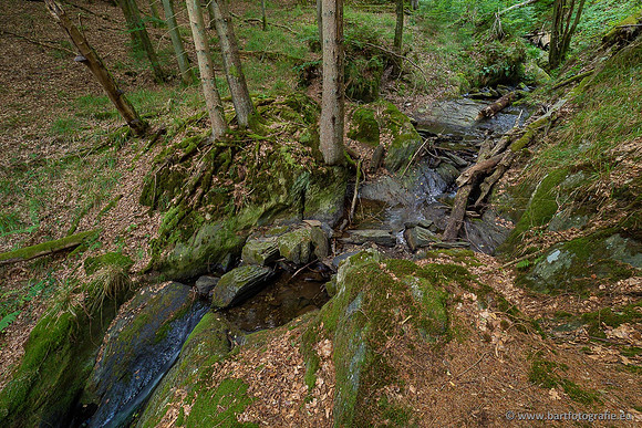 Eifel, augustus 2022, Bart Fotografie-033