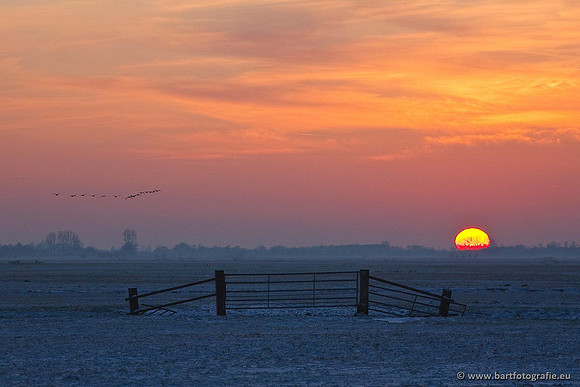Arkemheen, Bart Fotografie-052
