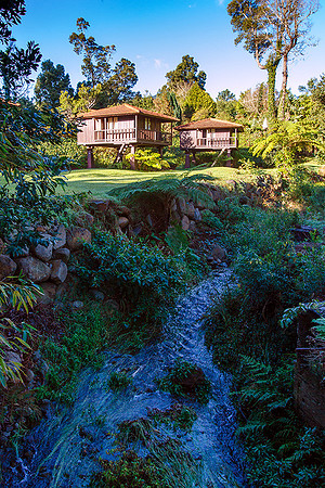 Madeira december 2016-002