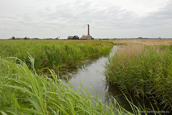 Arkemheen, Bart Fotografie-027