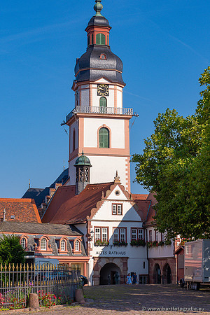Heidelberg, Duitsland, augustus 2024-162