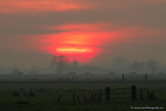 Arkemheen, Bart Fotografie-093