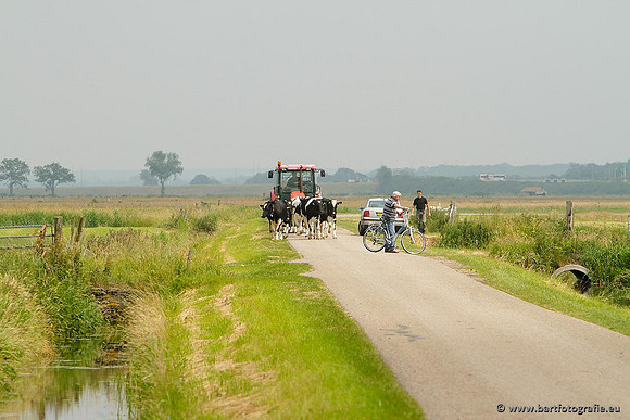 Arkemheen, Bart Fotografie-073