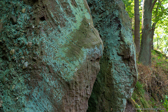 Eifel, augustus 2022, Bart Fotografie-150