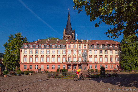 Heidelberg, Duitsland, augustus 2024-157