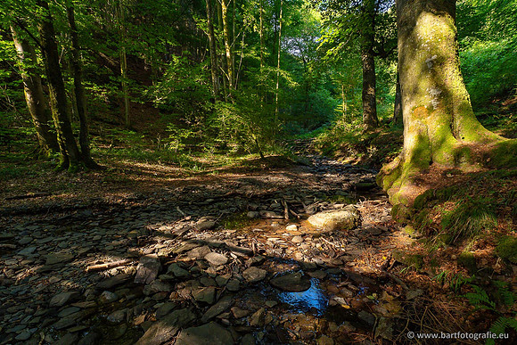 Eifel, augustus 2022, Bart Fotografie-005