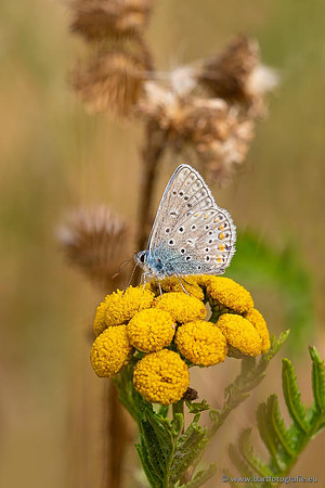 Eifel, augustus 2022, Bart Fotografie-123