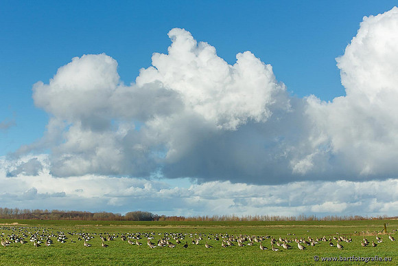 Arkemheen, Bart Fotografie-070