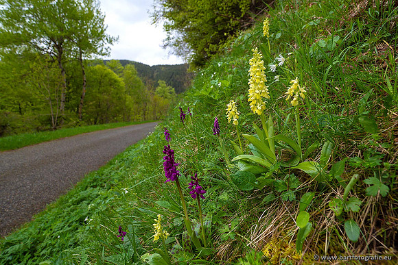 Ariège, Frankrijk, mei 2022, Bart Fotografie-367