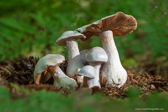 Friesland oktober 2025-008