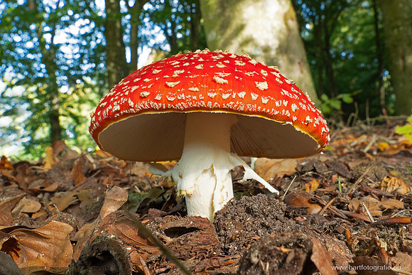 Friesland oktober 2025-013