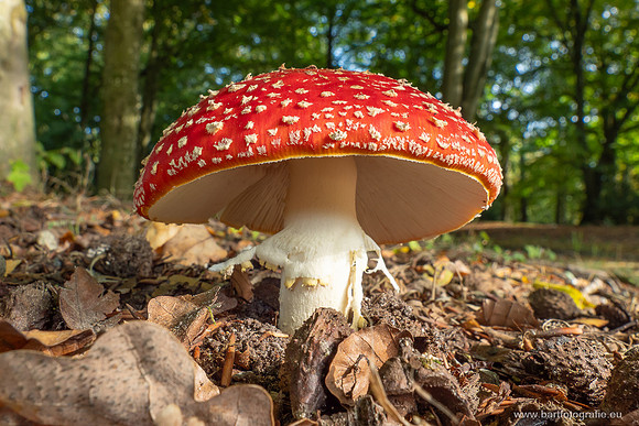 Friesland oktober 2025-014
