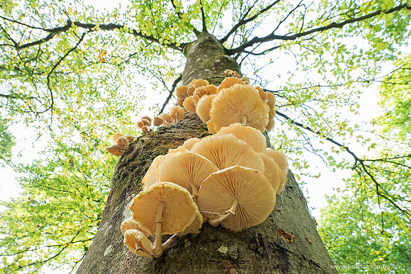 Friesland oktober 2025-052