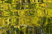 Friesland oktober 2025
