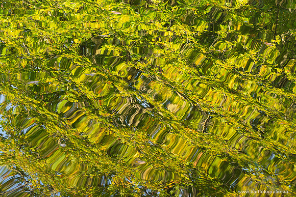 Friesland oktober 2025-056