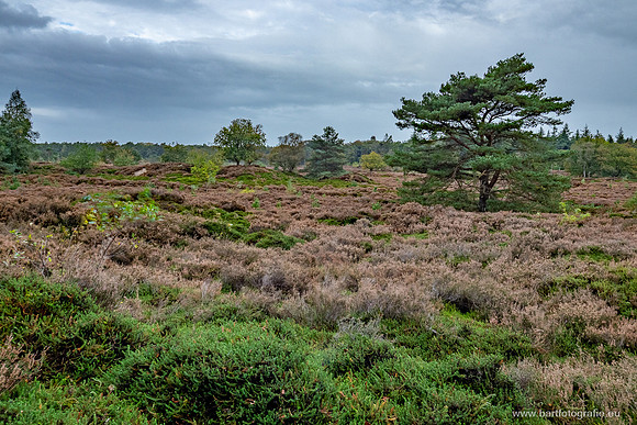Friesland oktober 2025-104