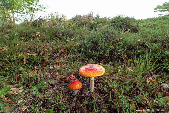 Friesland oktober 2025-105