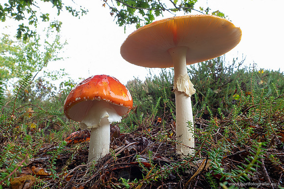 Friesland oktober 2025-107