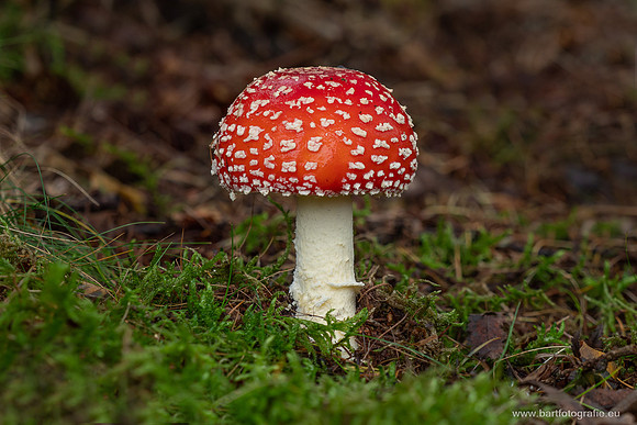 Friesland oktober 2025-109