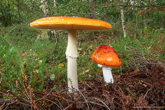 Friesland oktober 2025-108