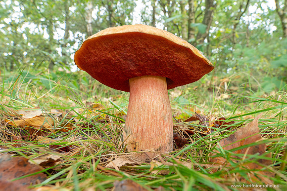 Friesland oktober 2025-112