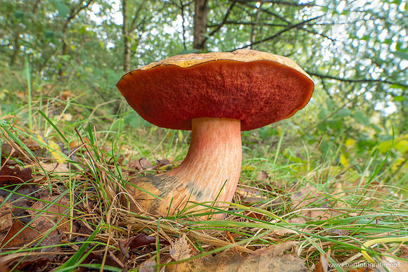 Friesland oktober 2025-111