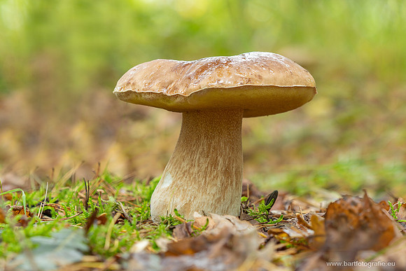 Friesland oktober 2025-118