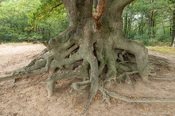 Friesland oktober 2025-135