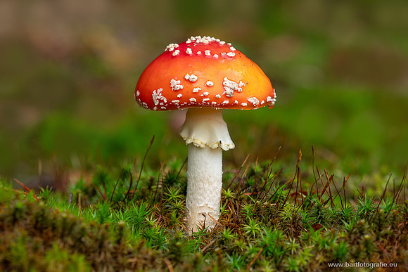 Friesland oktober 2025-146
