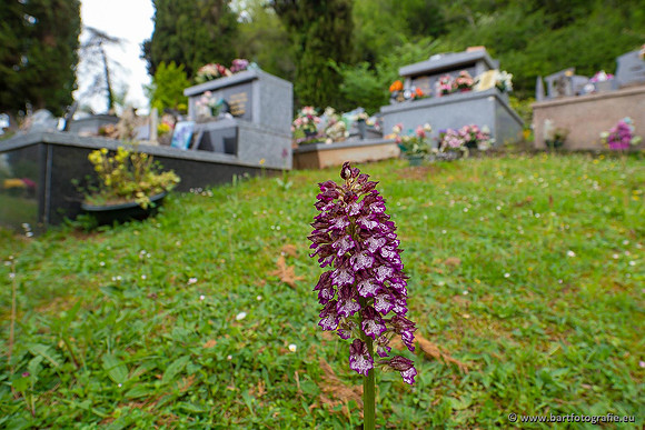 Ariège, Frankrijk, mei 2022, Bart Fotografie-039