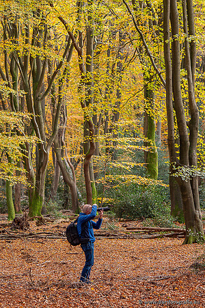 Speulderbos 051125-06