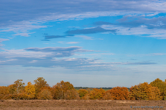 Speulderbos 051125-67