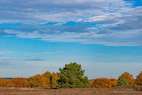 Speulderbos 051125-68