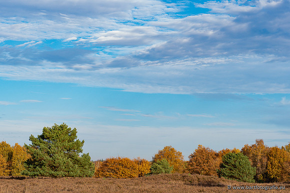 Speulderbos 051125-69