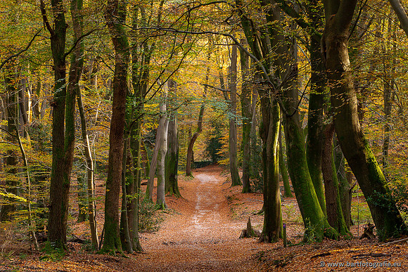 Speulderbos 051125-70