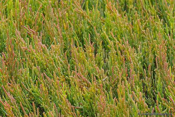 Friesland september 2020 Bart Fotografie-102