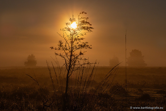 Zon op en onder, Bart Fotografie-207