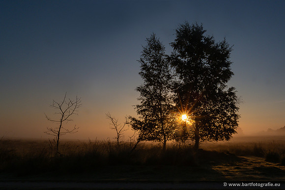 Zon op en onder, Bart Fotografie-208