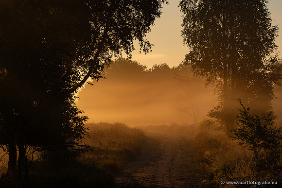 Zon op en onder, Bart Fotografie-209