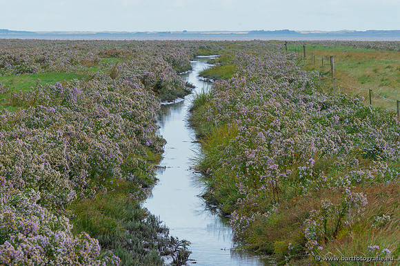 Friesland september 2020 Bart Fotografie-078