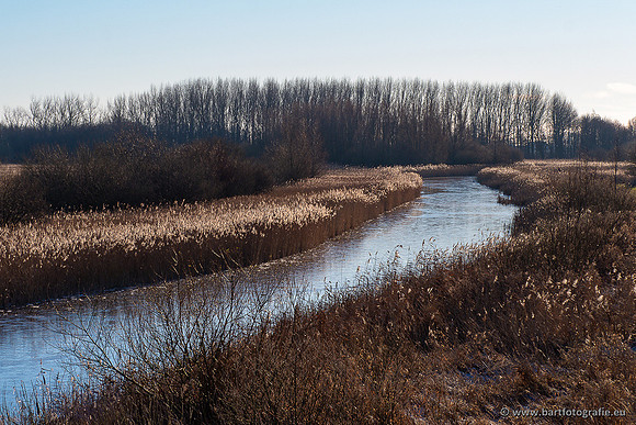 Zoutkamp januari 2022-049