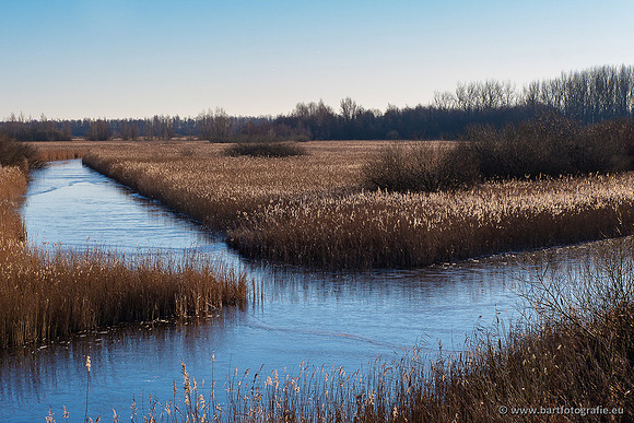 Zoutkamp januari 2022-050