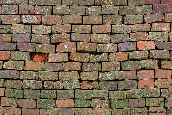 Zoutkamp januari 2022-033