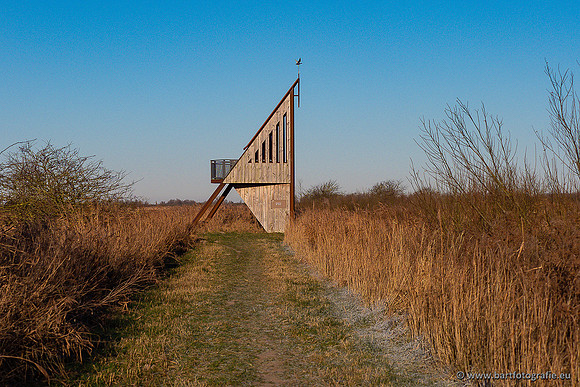Zoutkamp januari 2022-047