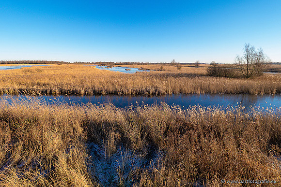 Zoutkamp januari 2022-051