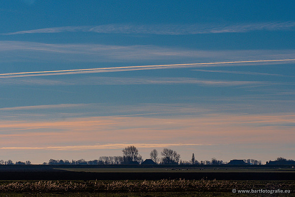 Zoutkamp januari 2022-056