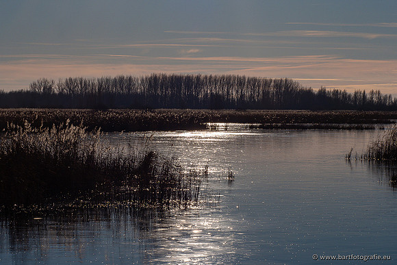 Zoutkamp januari 2022-057
