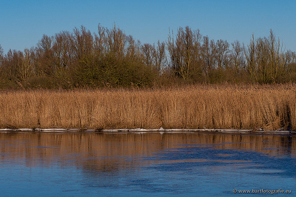 Zoutkamp januari 2022-066
