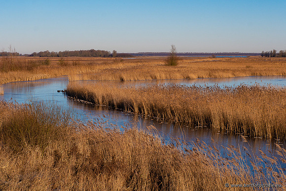 Zoutkamp januari 2022-053